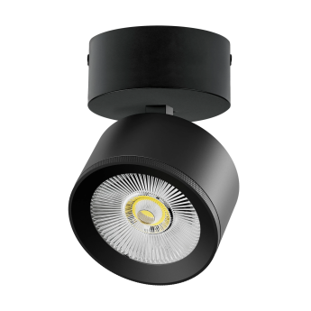 Светильник накладной LIGHTSTAR ALTA PRO A5547SO
